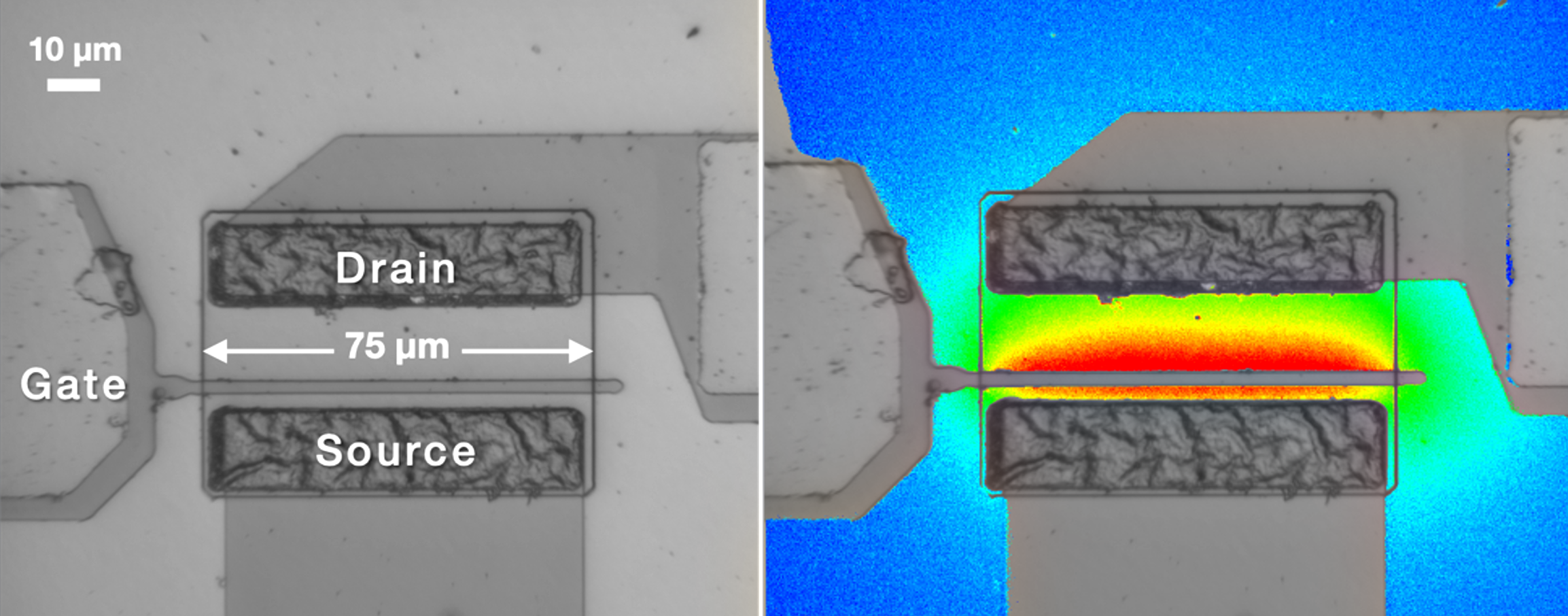 Grayscale and thermal imaging of an electronic device