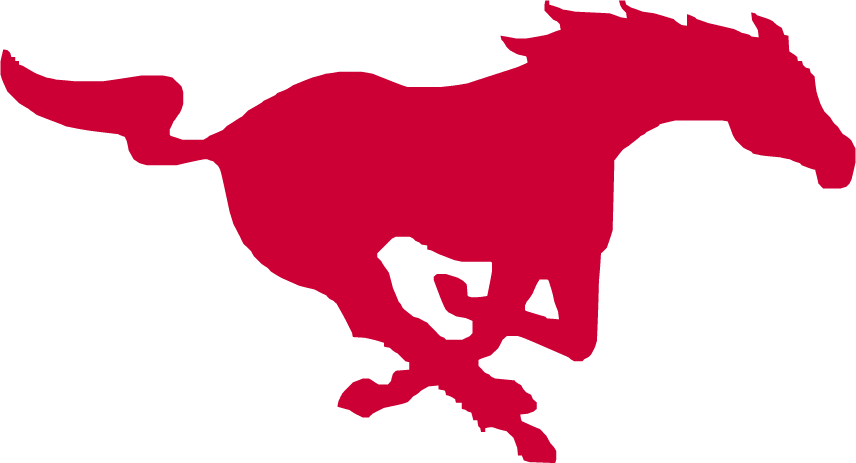 The Mustang icon incorrect drawing