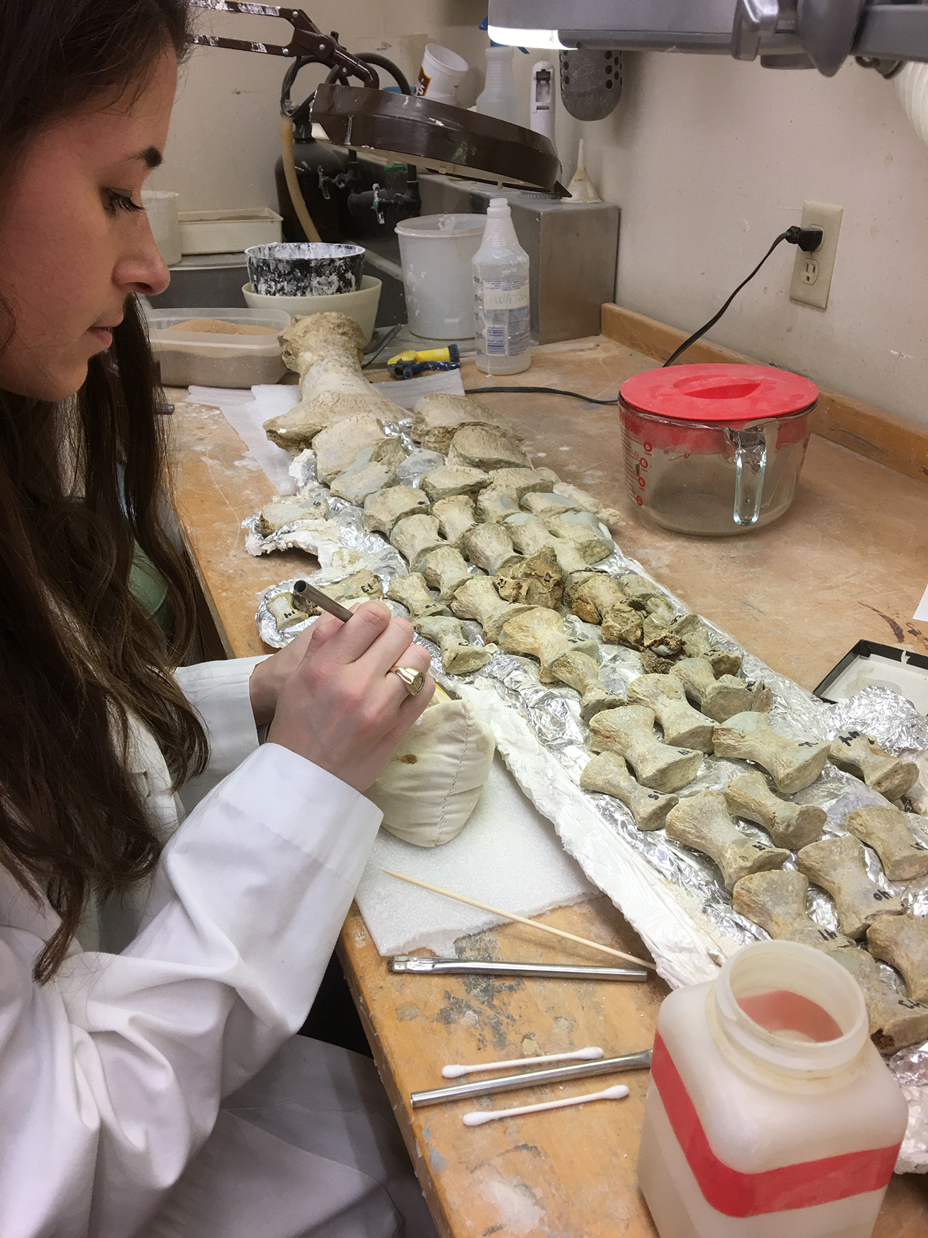 studetn in lab