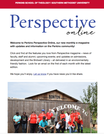 Perspective Online