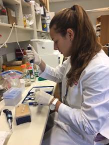 Ursa Bezan Petric SURF Program UT-Southwestern Simmons Research Center