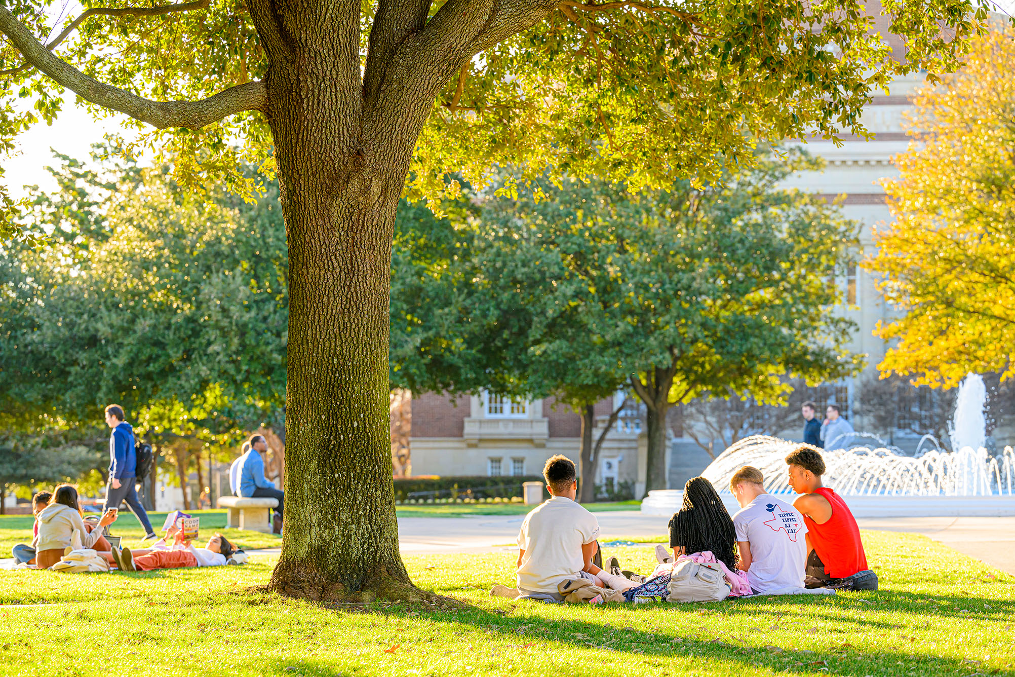 small groups of students spread out, sitting on grass by trees in front of fountain and Dallas Hall